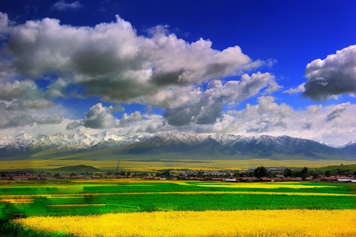 dsc_2364a.jpg