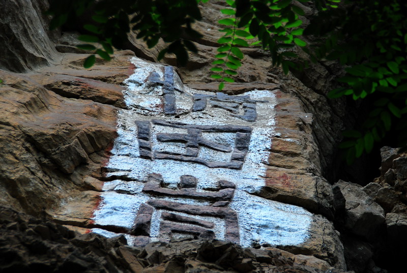 dsc_6726.jpg