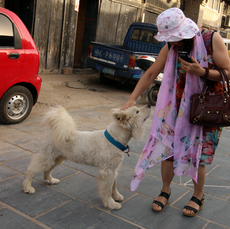 img_2518 - .jpg
