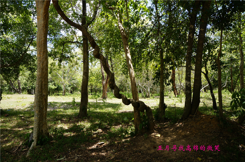 _dsc0077_副本.jpg
