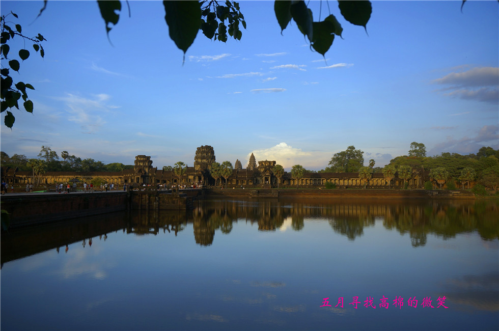 _dsc0177_副本.jpg
