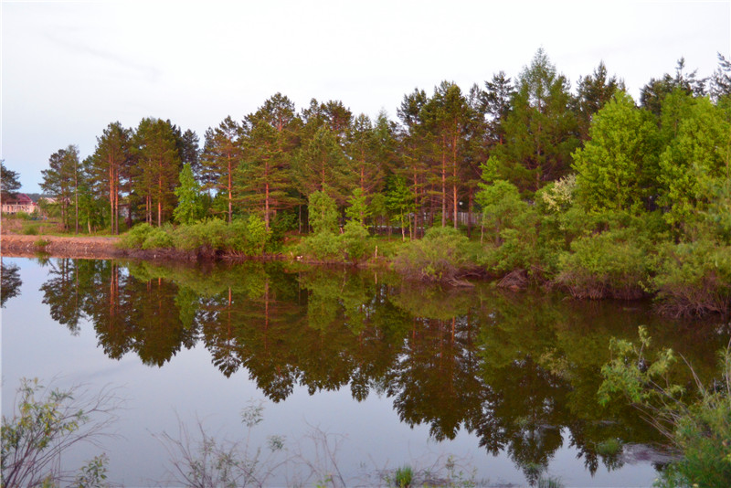 dsc_3128.jpg
