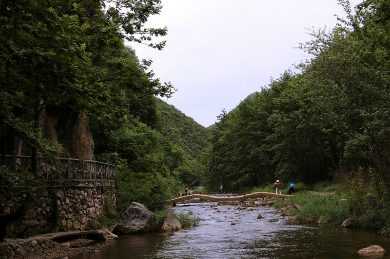 img_2963.jpg