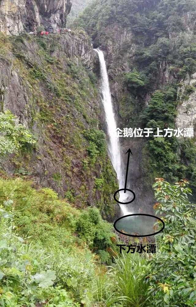 dvubb 按此在新窗口浏览图片