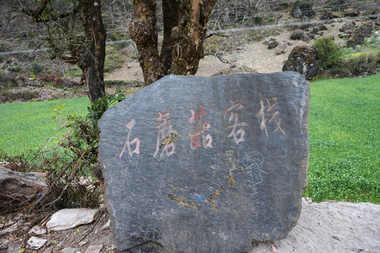 122.jpg