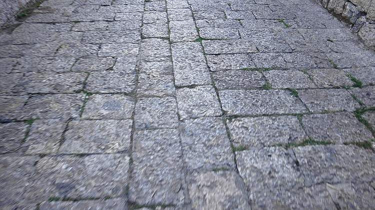 056.jpg