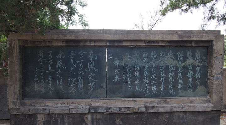 p1010901_.jpg