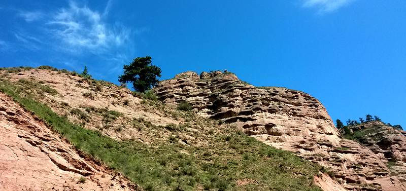 20150719_100412_.jpg