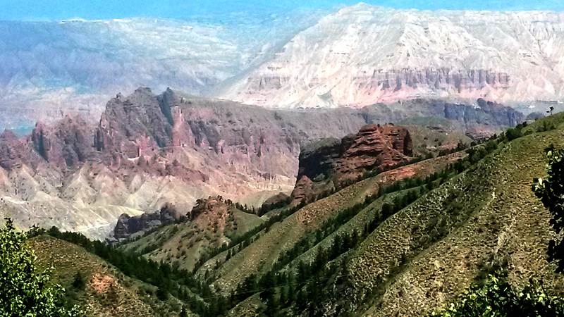 20150719_115855_.jpg