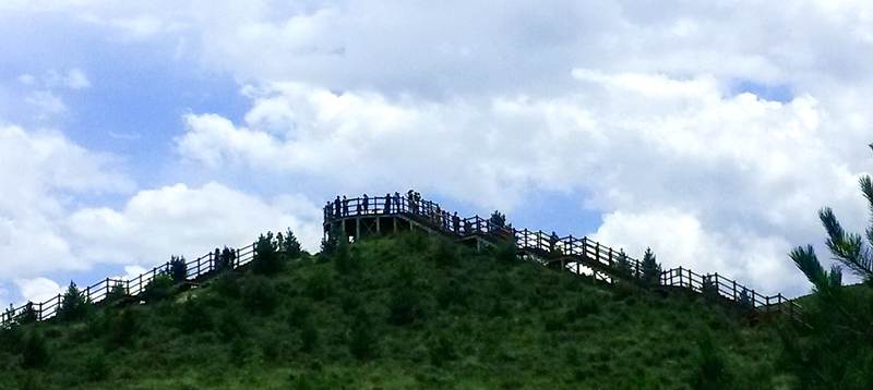20150719_132047_.jpg