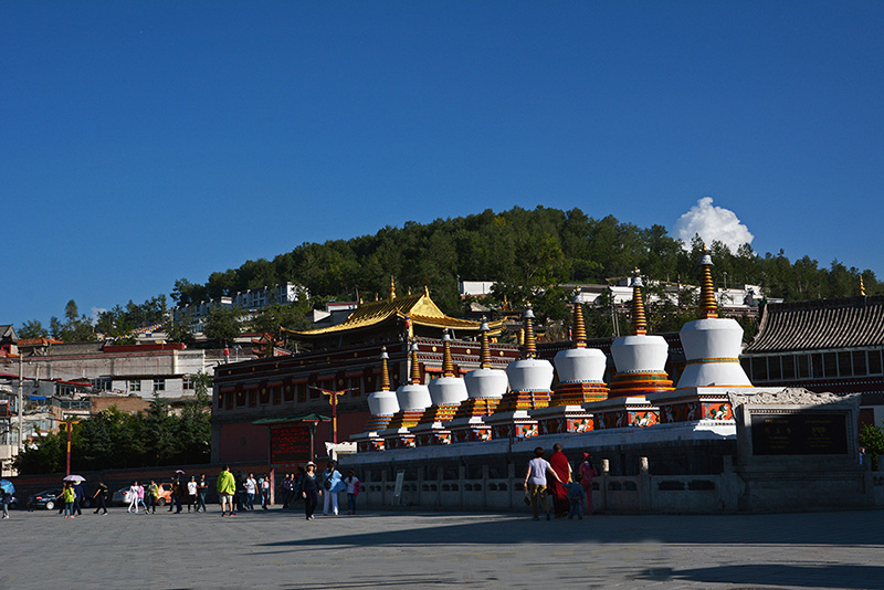 dsc_5252副本a.jpg