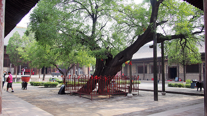 p1011870.jpg