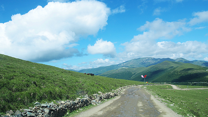 p1010045_.jpg