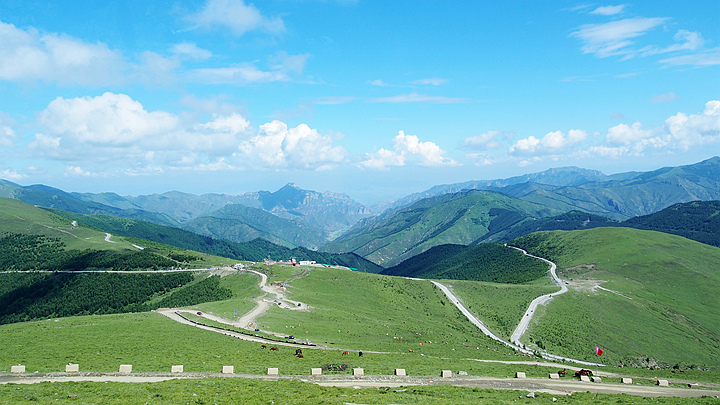 p1010043.jpg