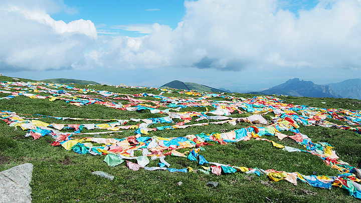 p1010137.jpg