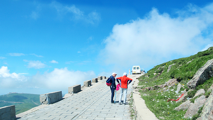 p1010138.jpg