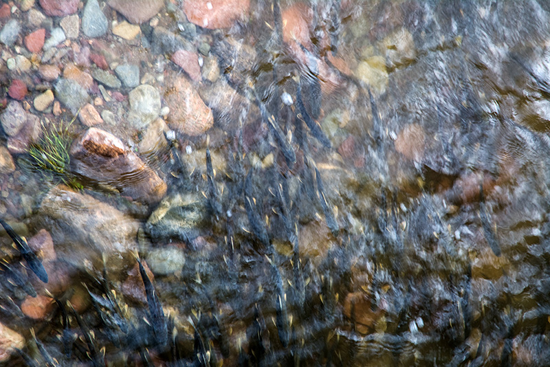 dsc_5969.jpg