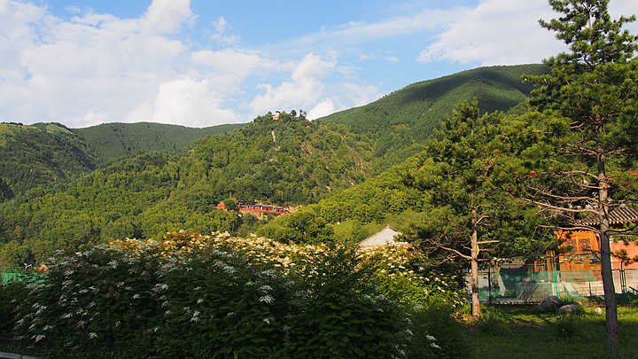 p1010569_.jpg