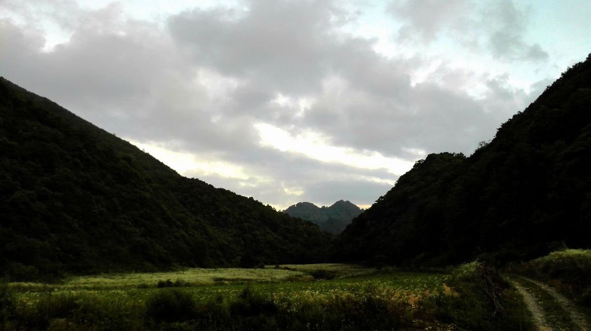 img_20150815_191800.jpg