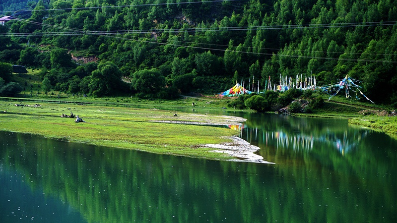 dsc00389_.jpg