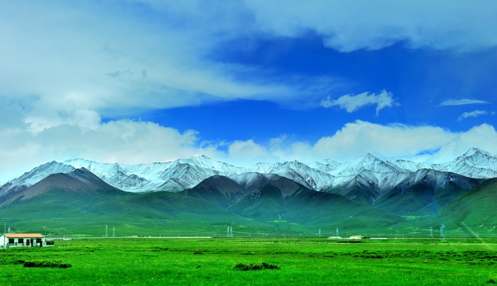 dsc_2422a.jpg