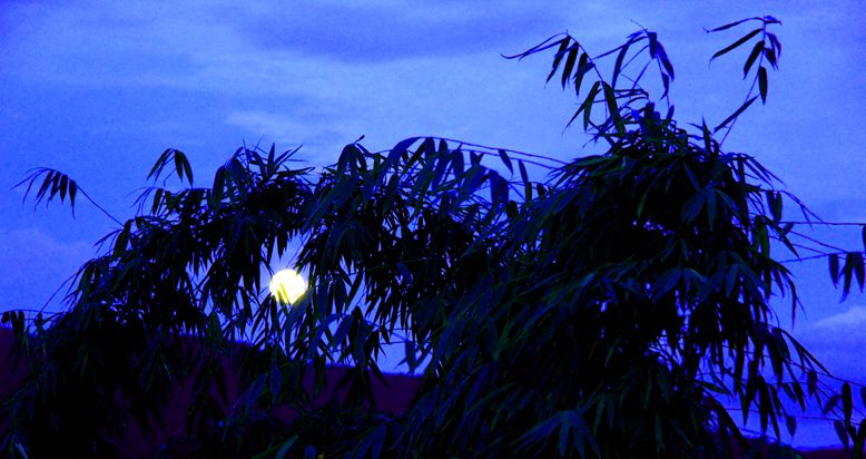 img_7763__.jpg