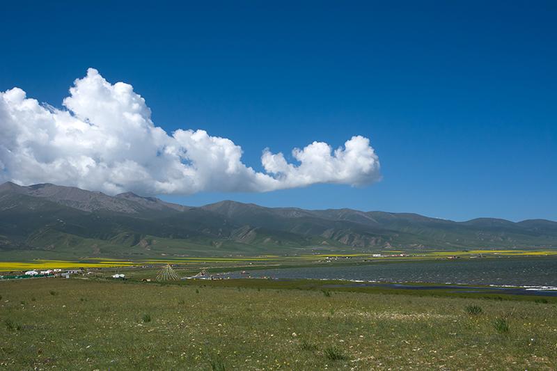 dsc_6880.jpg