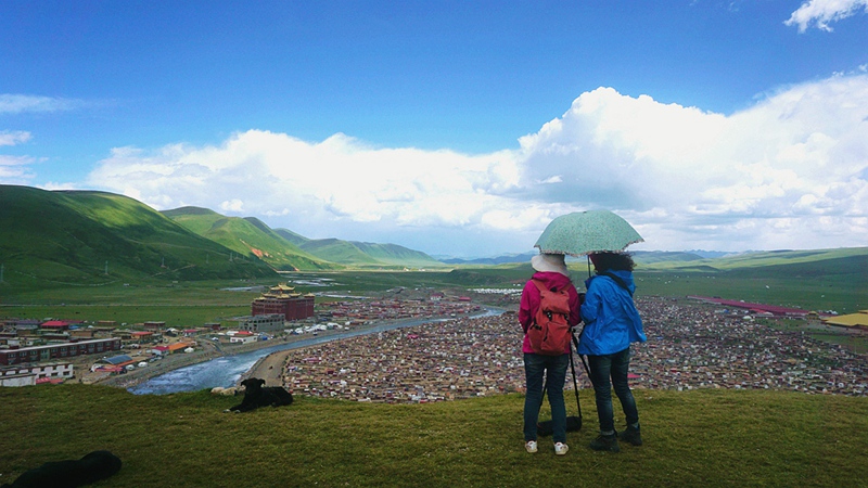 dsc00631_.jpg