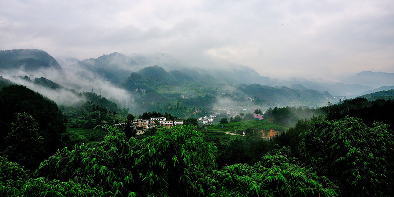 _dsc7755__.jpg