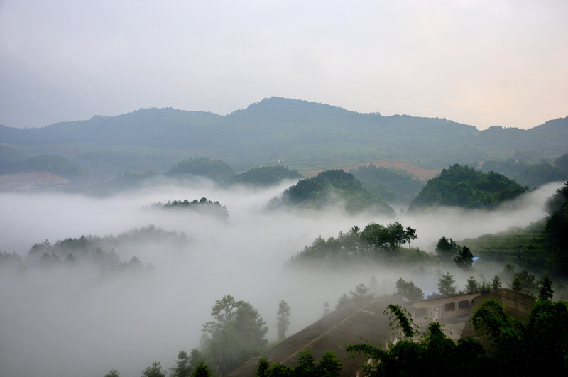 _dsc7839_.jpg