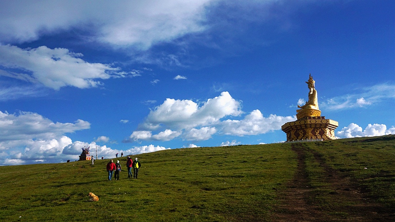 dsc00792_.jpg