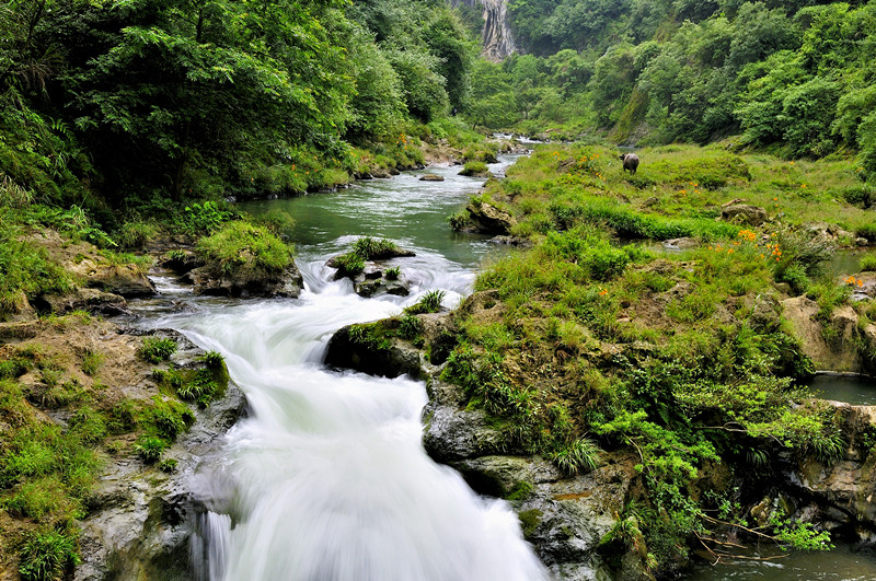 _dsc8211_.jpg