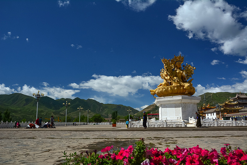 dsc_7522a.jpg