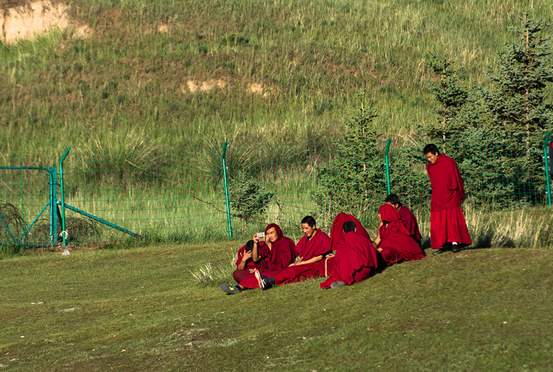 dsc_7813a.jpg