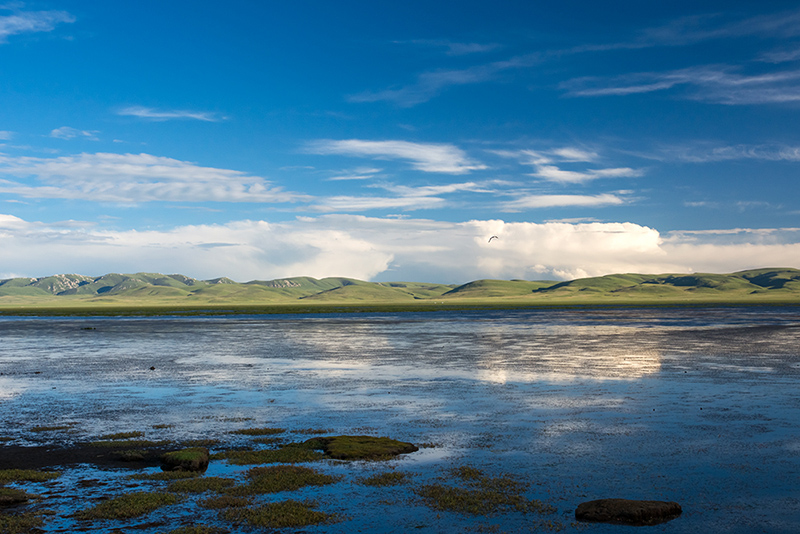 dsc_8254a.jpg