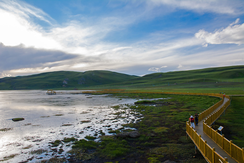 dsc_8255a.jpg