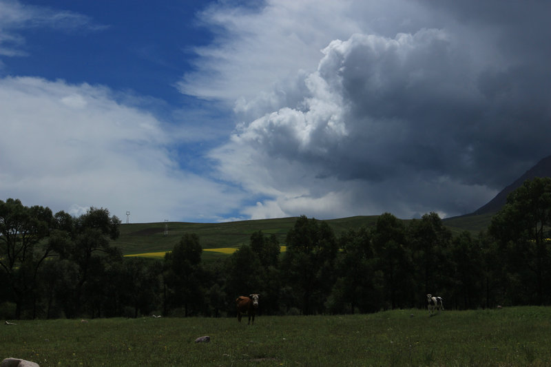 img_5076.jpg