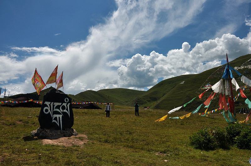 dsc_0686_.jpg