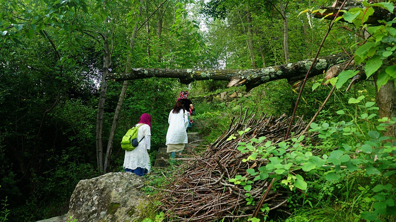 dsc01465_.jpg