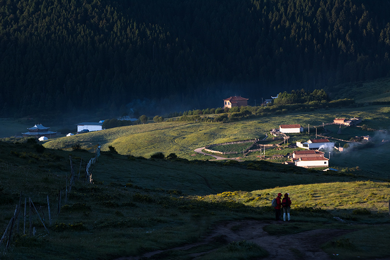 dsc_8343a.jpg