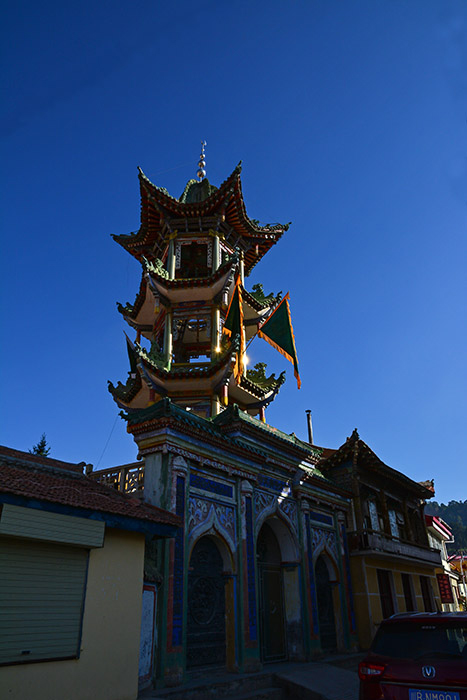 dsc_8452a.jpg
