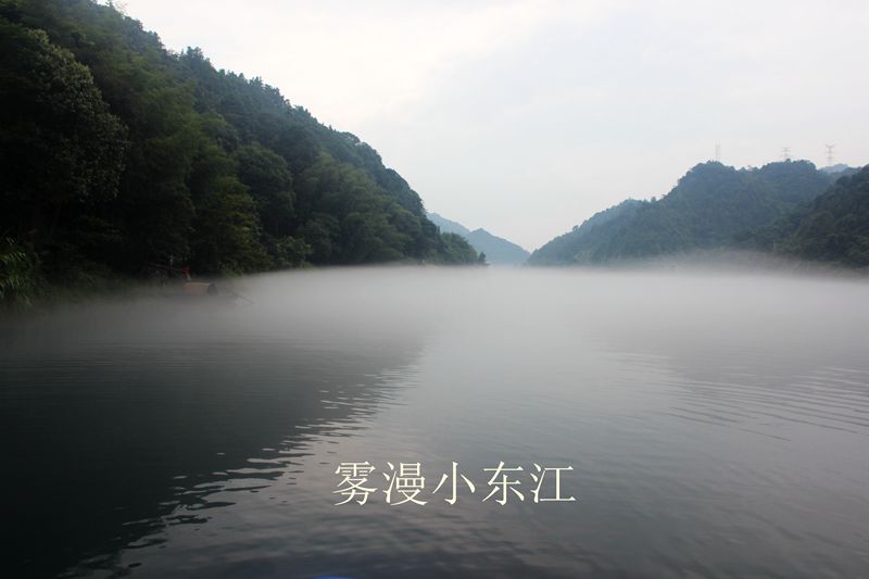 img_1549.jpg