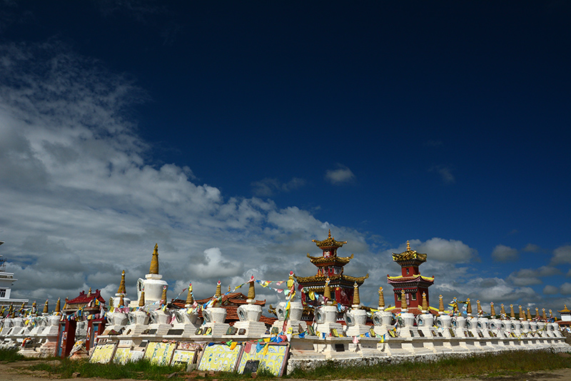 dsc_8930a.jpg