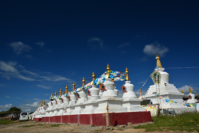 dsc_8918a.jpg