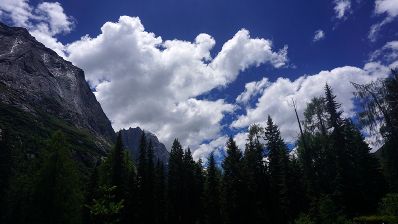 dsc01775_.jpg