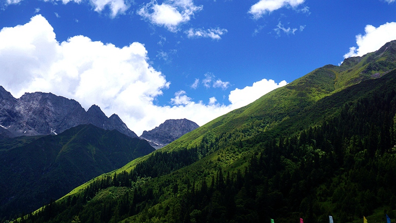 dsc01782_.jpg