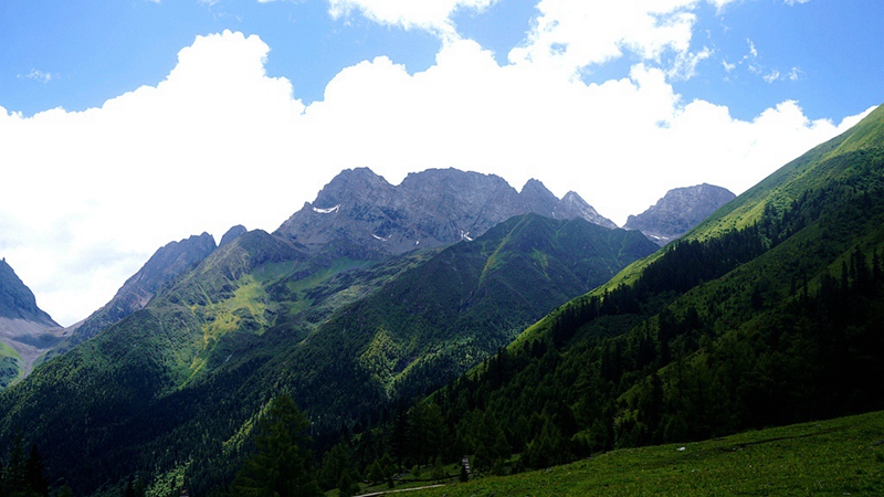 dsc01788_.jpg