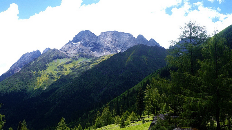 dsc01792_.jpg