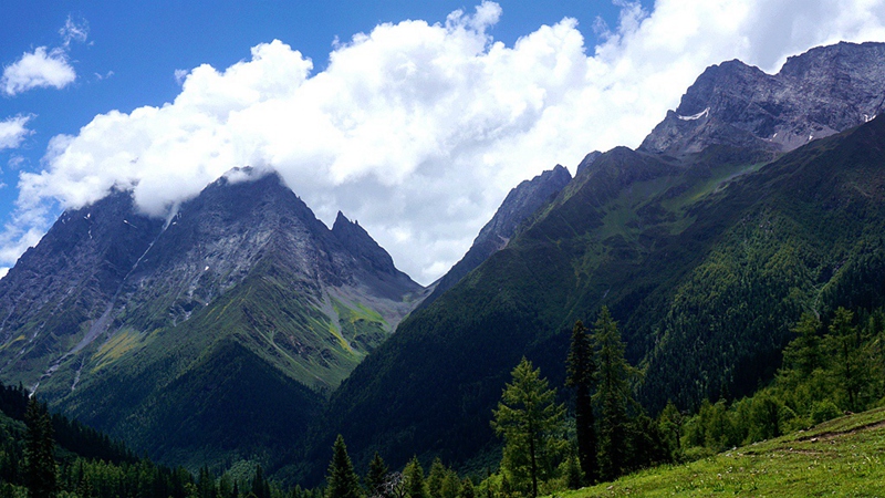 dsc01799_.jpg