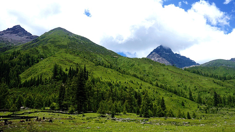dsc01801_.jpg